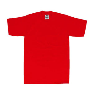 tシャツ メンズ 半袖 通販 アメカジ おしゃれ ティシャツ ブランド プロクラブ 厚手 半袖 シャツ 無地 トップス ストリート クルーネック シンプル 肌着 インナー グレー ビッグサイズ Sサイズ 小さめ 大きめ XL 大きいサイズ
