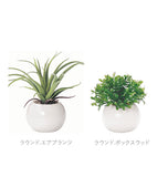 光触媒観葉植物 おしゃれ 通販 観葉植物 光触媒 フェイク 小さい 枯れない 造花 フェイクグリーン リアル インテリアグリーン ミニ 小さめ コンパクト ラウンドポット 丸型 イミテーショングリーン 消臭 除菌 空気清浄 インテリア 人工植物 卓上 デスク 机 玄関 靴箱