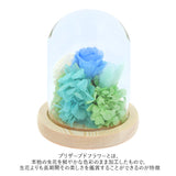 お供え プリザーブドフラワー ガラスドーム 通販 ソレイユ アレンジメント 供養 仏花 供え花 献花 ドームタイプ ドーム プリザ 長持ち 飾り かわいい 仏壇用 お盆 進物 法要