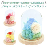 お供え プリザーブドフラワー ガラスドーム 通販 ソレイユ アレンジメント 供養 仏花 供え花 献花 ドームタイプ ドーム プリザ 長持ち 飾り かわいい 仏壇用 お盆 進物 法要