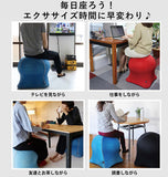 ジェリーフィッシュチェア 通販 ジェリーフィッシュ バランスボール 椅子 おしゃれ jellyfish chair バランスチェア エクササイズ スツール トレーニング インテリア クラゲ 洗える 手洗い セルフケア ながらエクササイズ ながら運動 エクササイズ用DVD付き Rutger