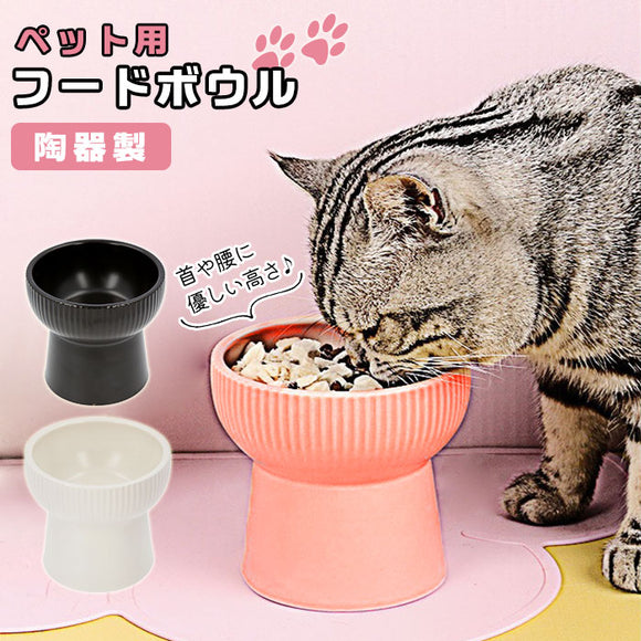 フードボウル 高さがある 通販 陶器 犬 猫 フードボール 食器 お皿 小型犬 餌皿 ごはん皿 ご飯入れ イヌ ネコ 犬用品 猫用品 餌入れ –  バックヤードファミリー